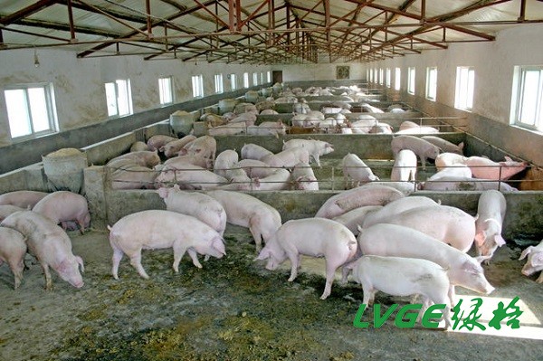 1758510712440736.jpg b_5304872202103171448188207.jpg