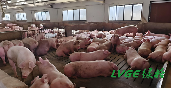 微信圖片_20260107100927_468_37 - 副本.png